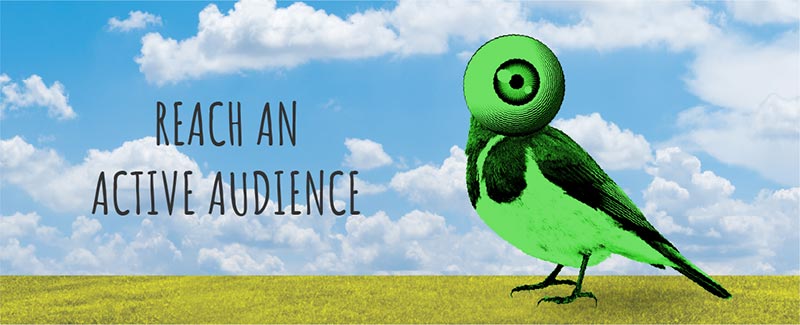 Reach an Active Audience