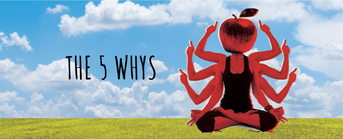 The 5 Whys