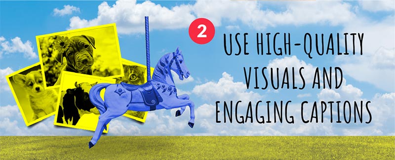 2. Use High-Quality Visuals and Engaging Captions