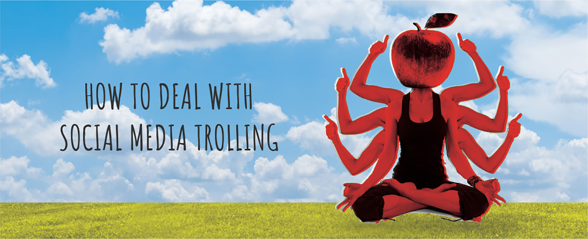 What is Social Media trolling?