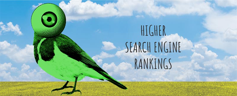 Higher Search Engine Rankings