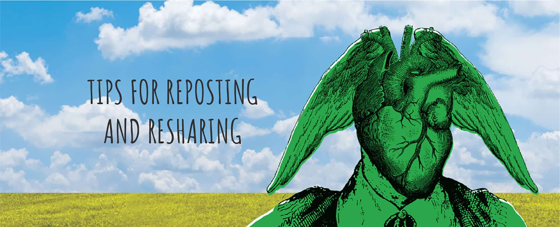 Tips for Reposting and Resharing
