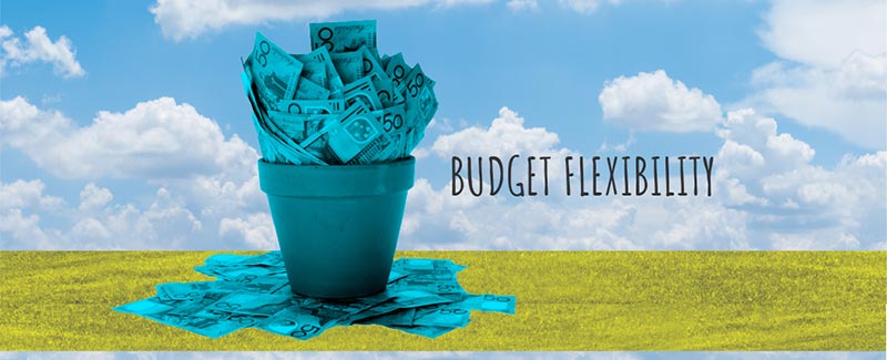 Budget Flexibility