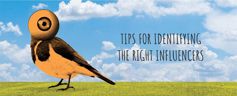Tips for Identifying the Right Influencers