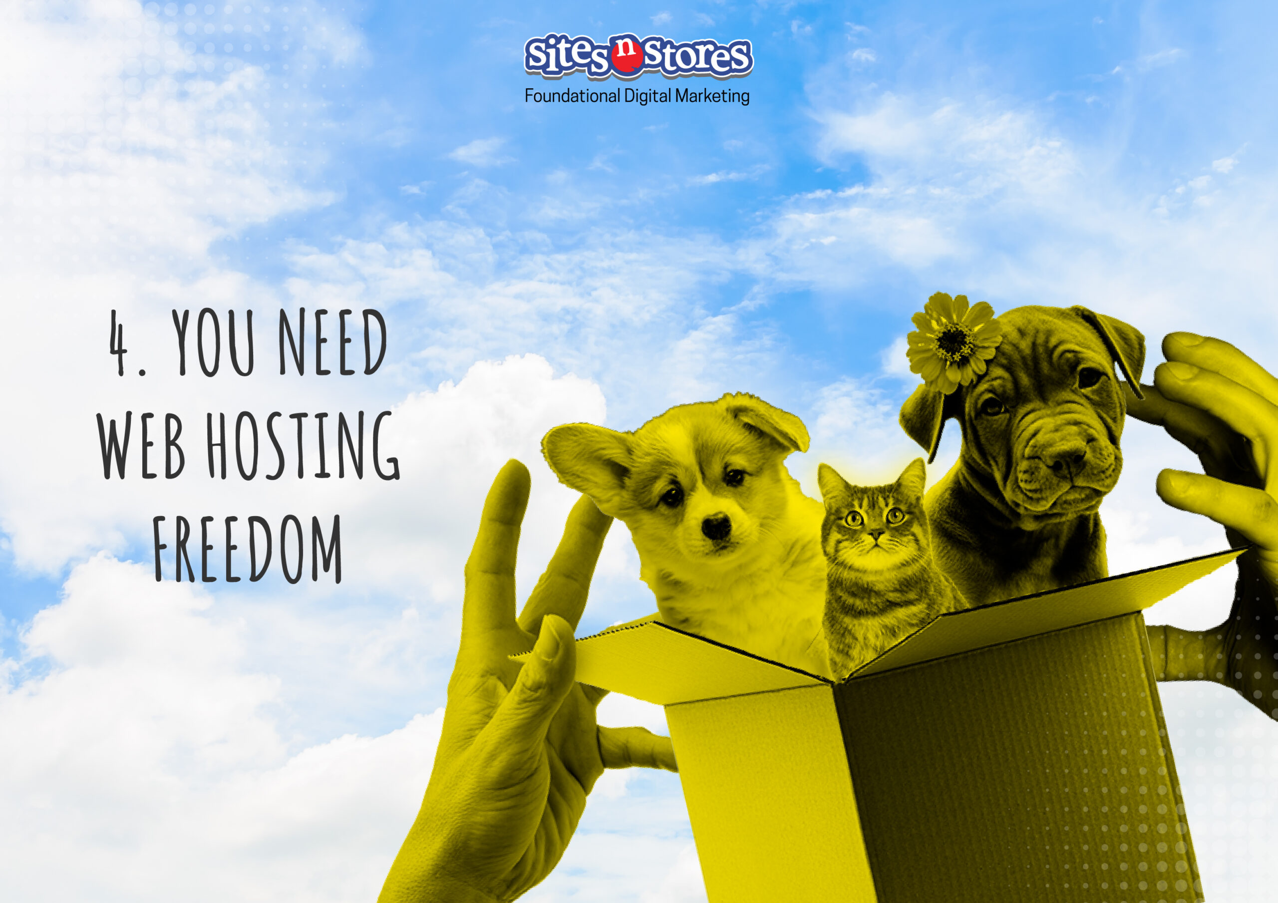 4. You Need Web Hosting Freedom