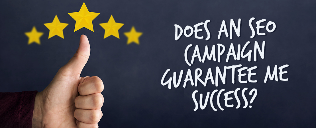 Does an SEO Campaign Guarantee me Success?