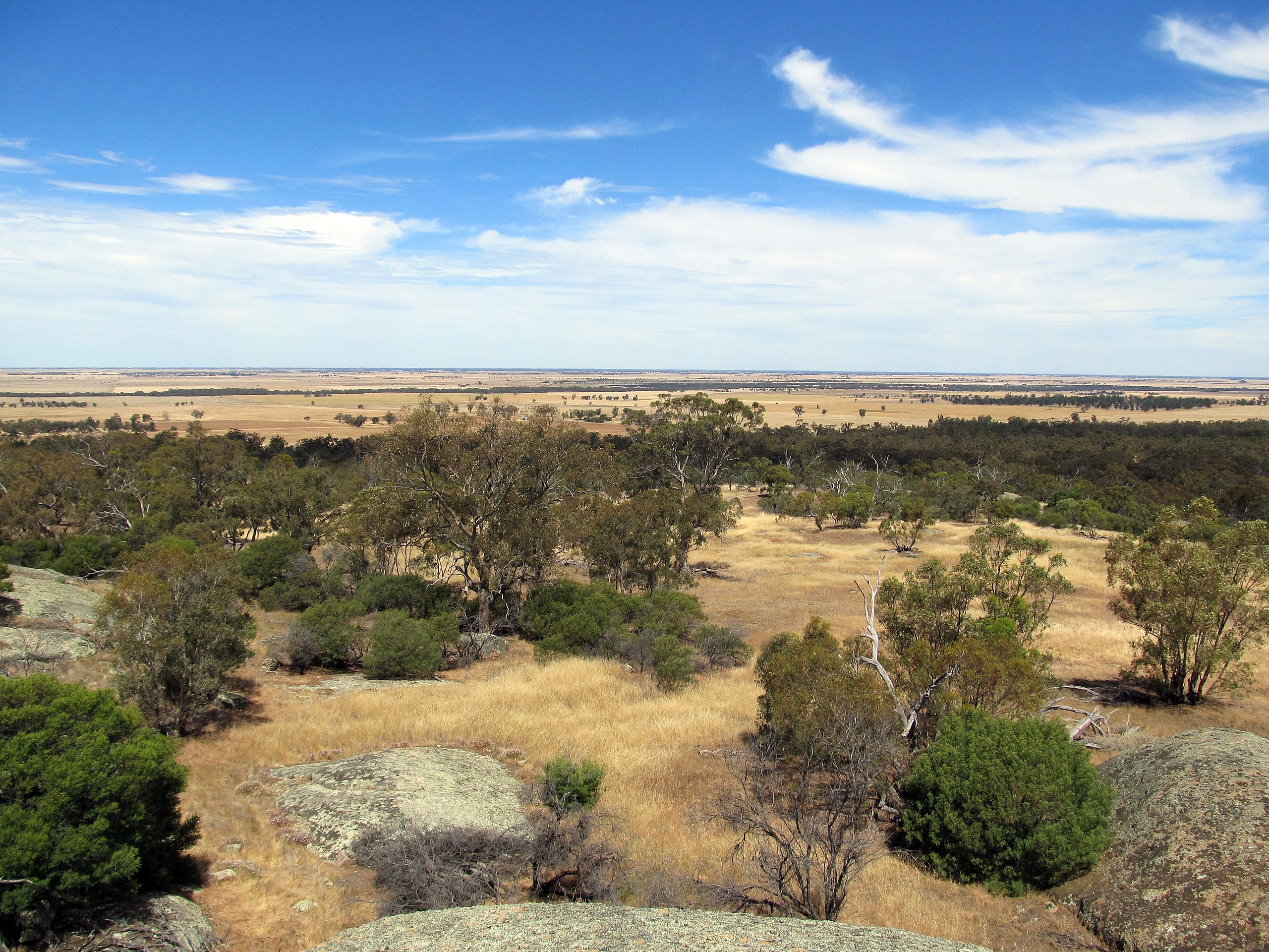 Web Design in Murray Plains