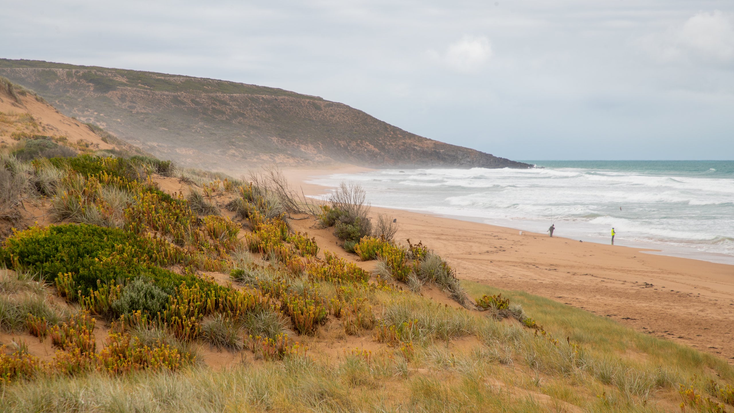 Web Design in Waitpinga