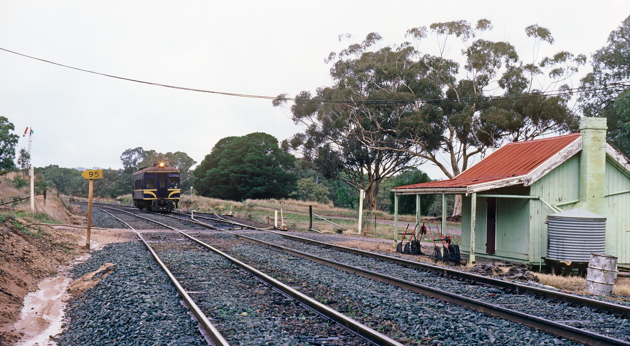 website design Ravenswood