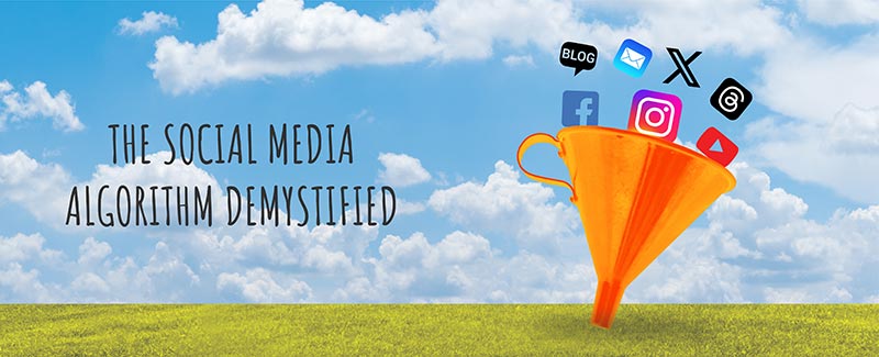 The Social Media Algorithm Demystified