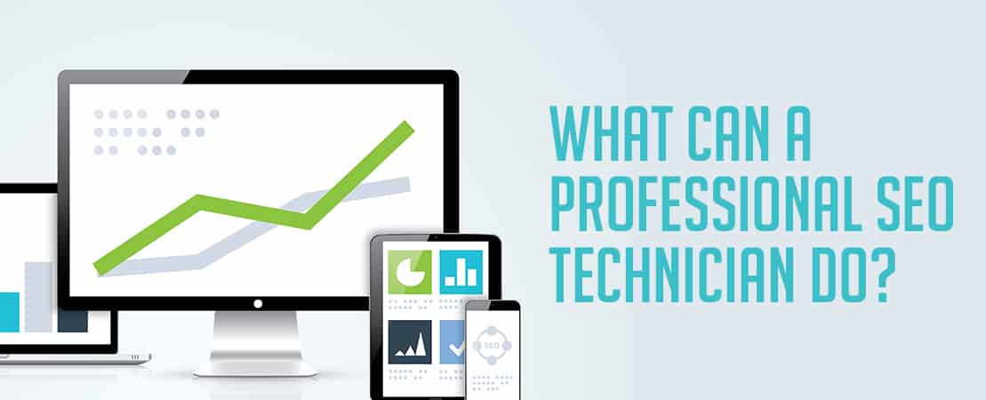 WHAT CAN A PROFESSIONAL SEO TECHNICIAN DO