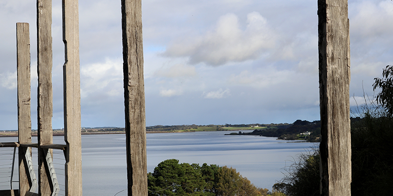 Website Designer Connewarre