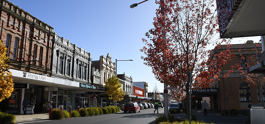 Website Designer Devonport