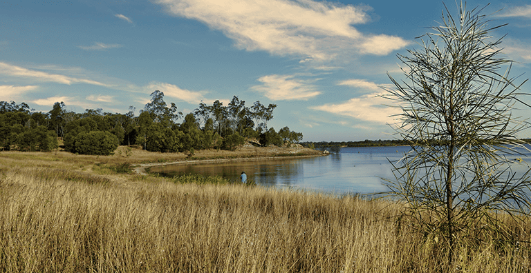 Website Designer Emerald QLD
