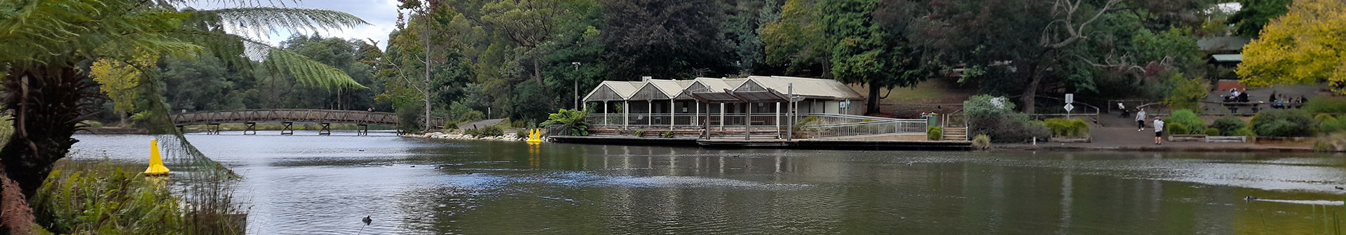 Website Designer Emerald Vic Company