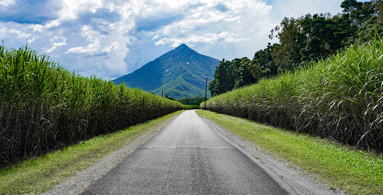 Website Designer Gordonvale