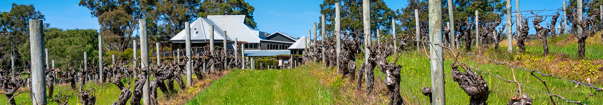 Introducing premier Web Design solutions for Margaret River! Our custom Websites are crafted to boost traffic and revenue for your Small Business. Reach out!