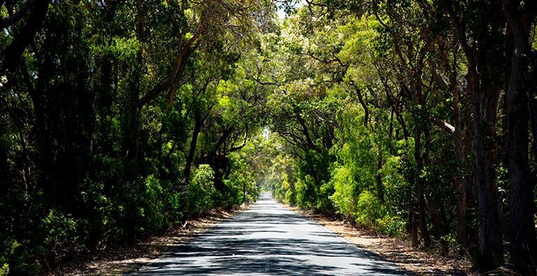 Ecommerce Web Design Margaret River | Custom Web Design Margaret River - Sites n Stores
