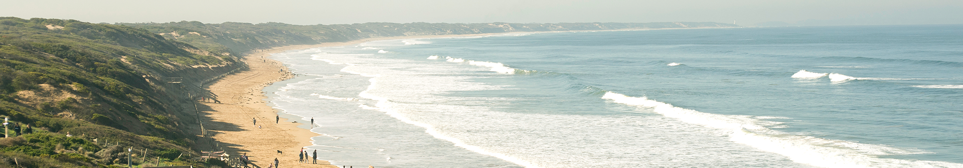 Website Designer Ocean Grove Company