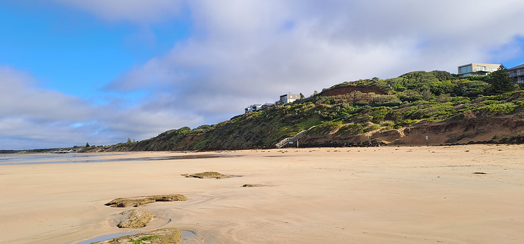 Website Designer Ocean Grove