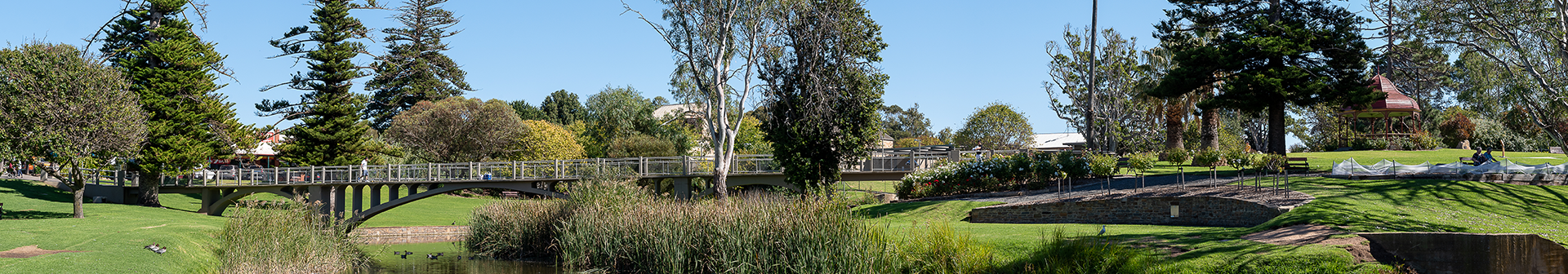 Website Designer Strathalbyn Company