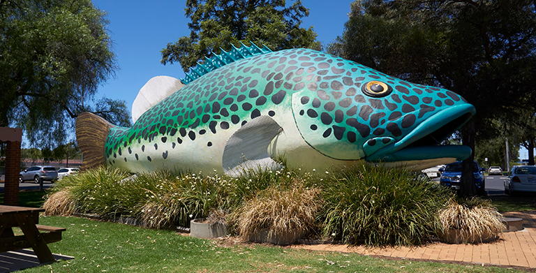 Website Designer Swan Hill