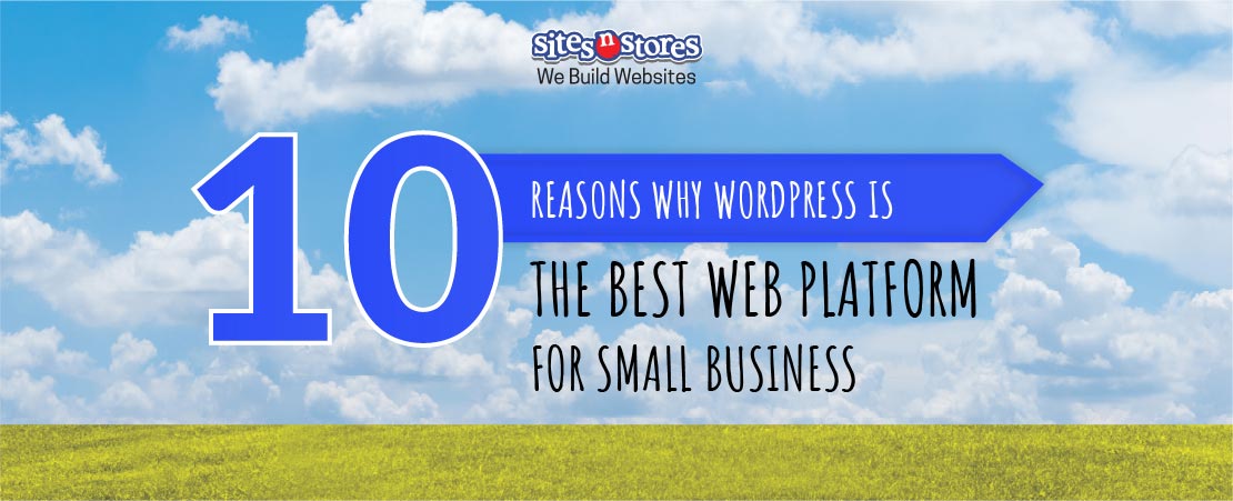 10 Reasons Why WordPress is the Best Web Platform for Small Business