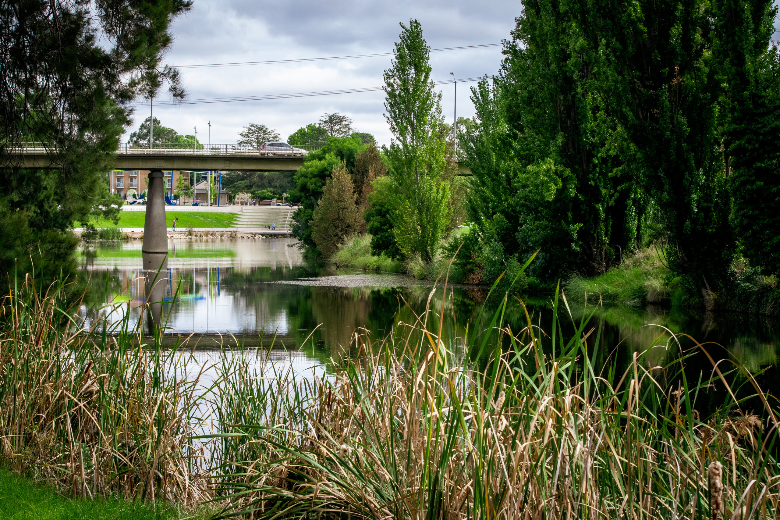 website design Queanbeyan