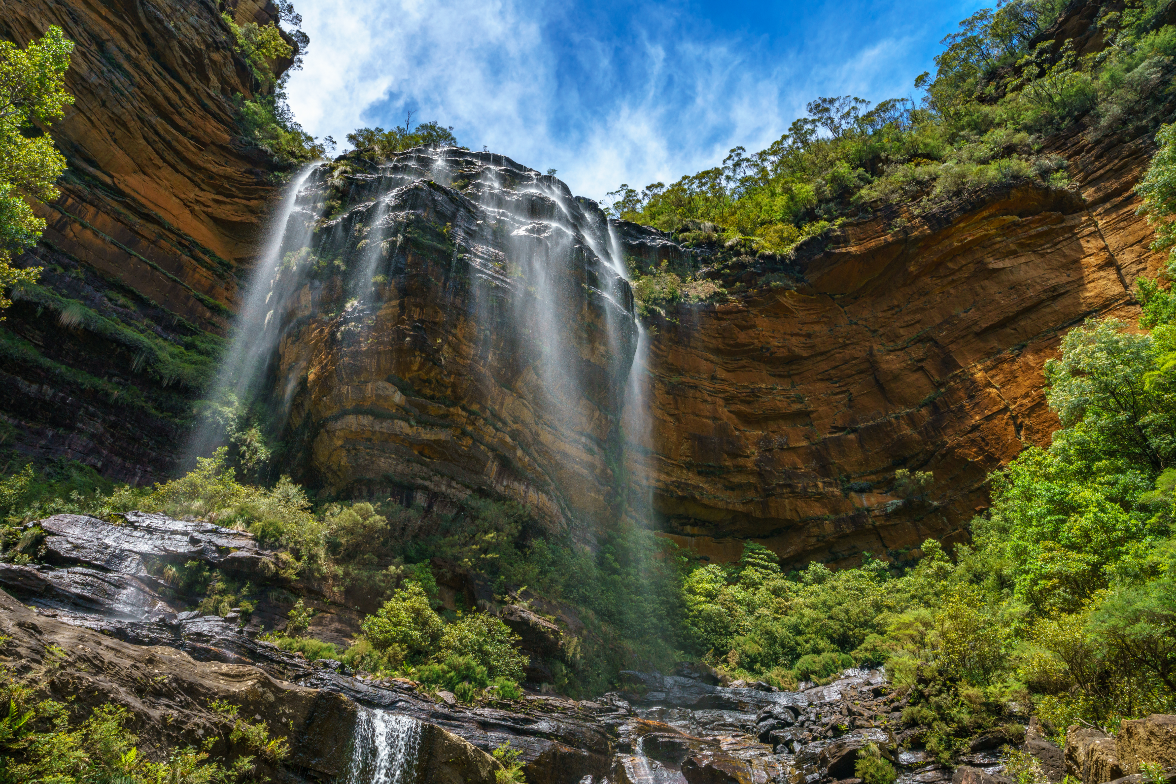 website design Wentworth Falls