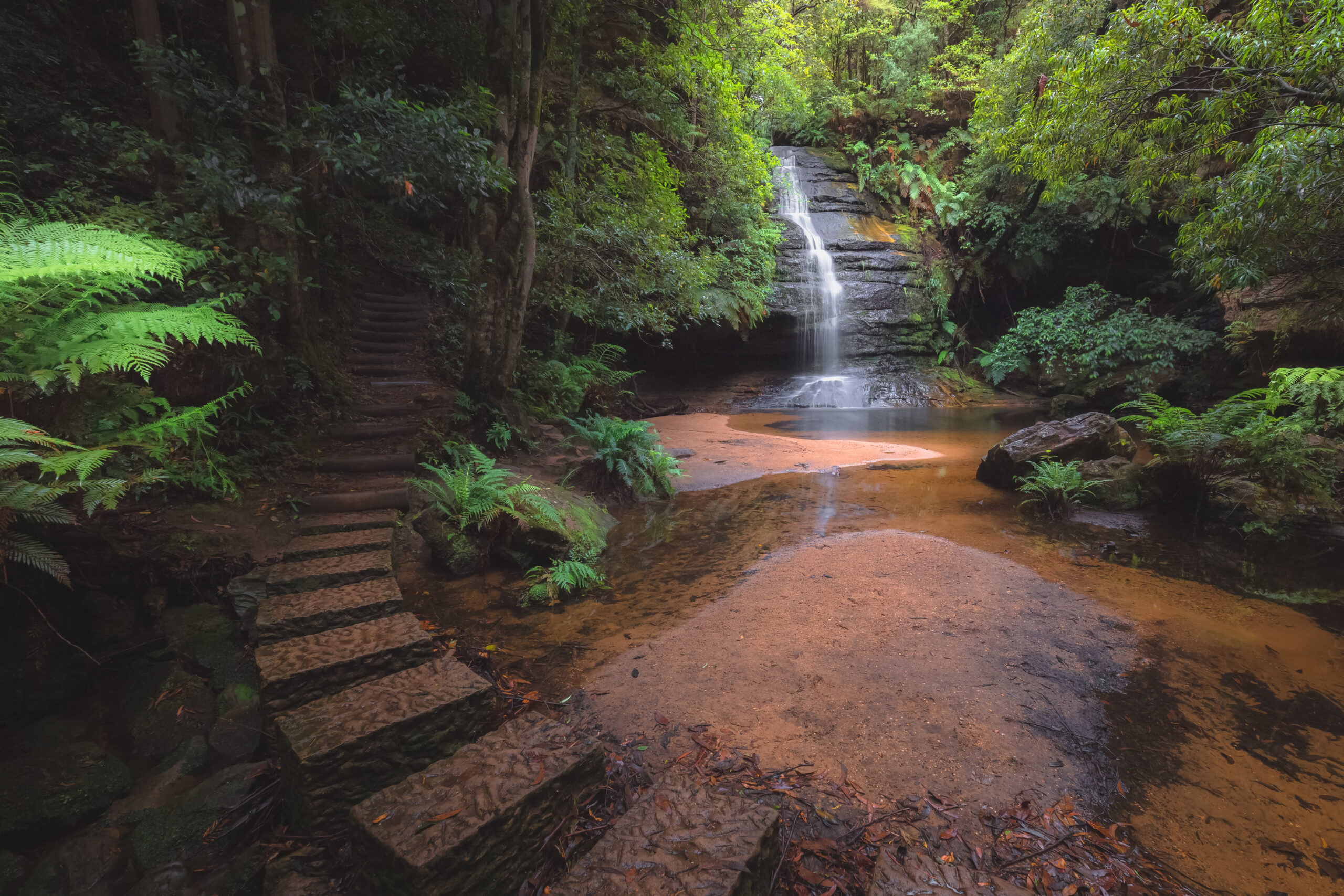 Website Designer Katoomba