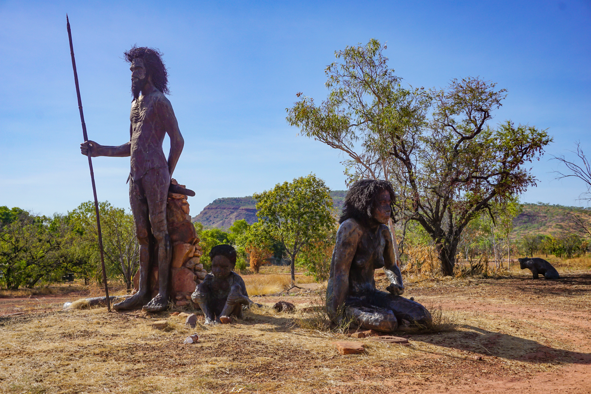 website design Wyndham