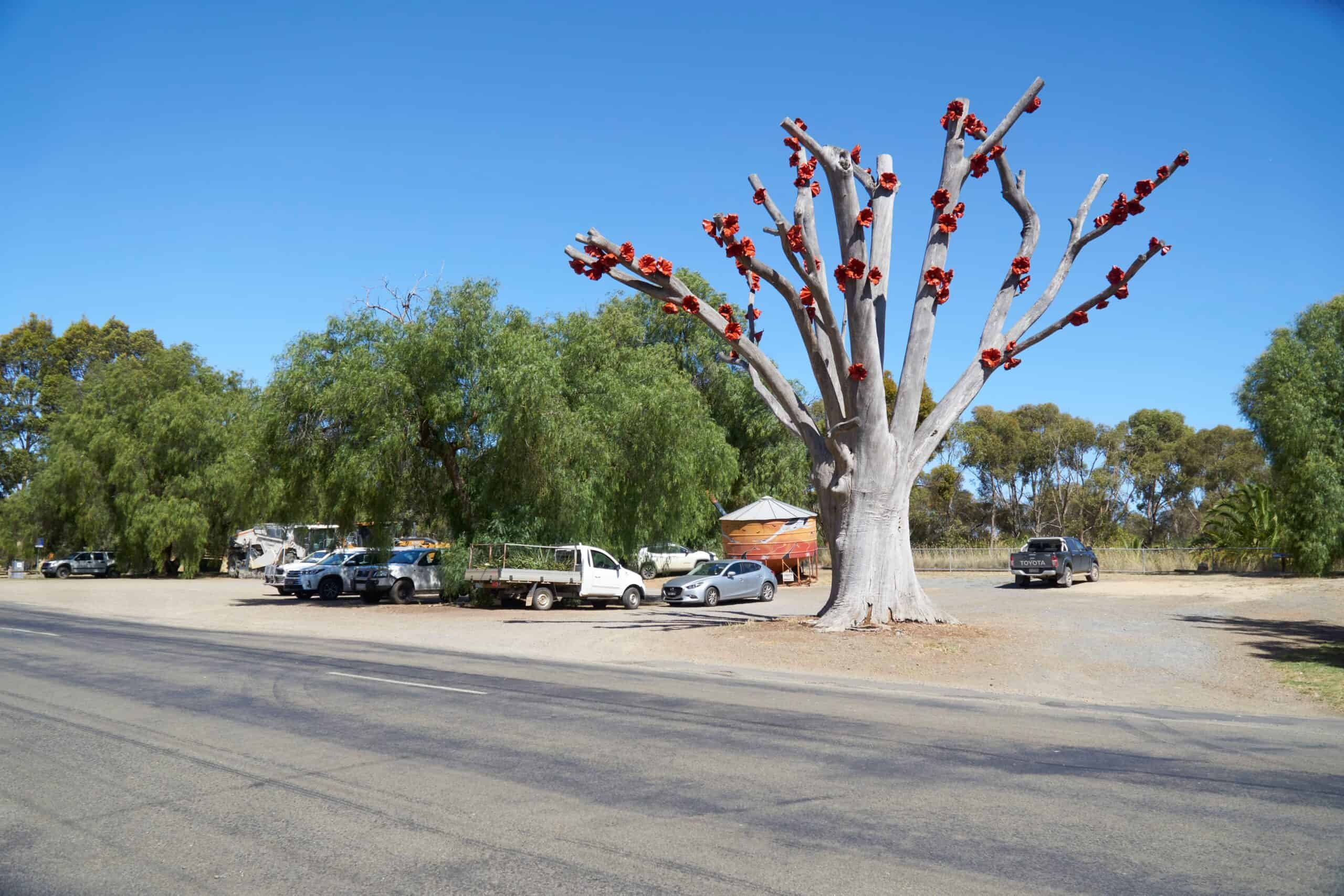 bespoke website design for Dookie small businesses