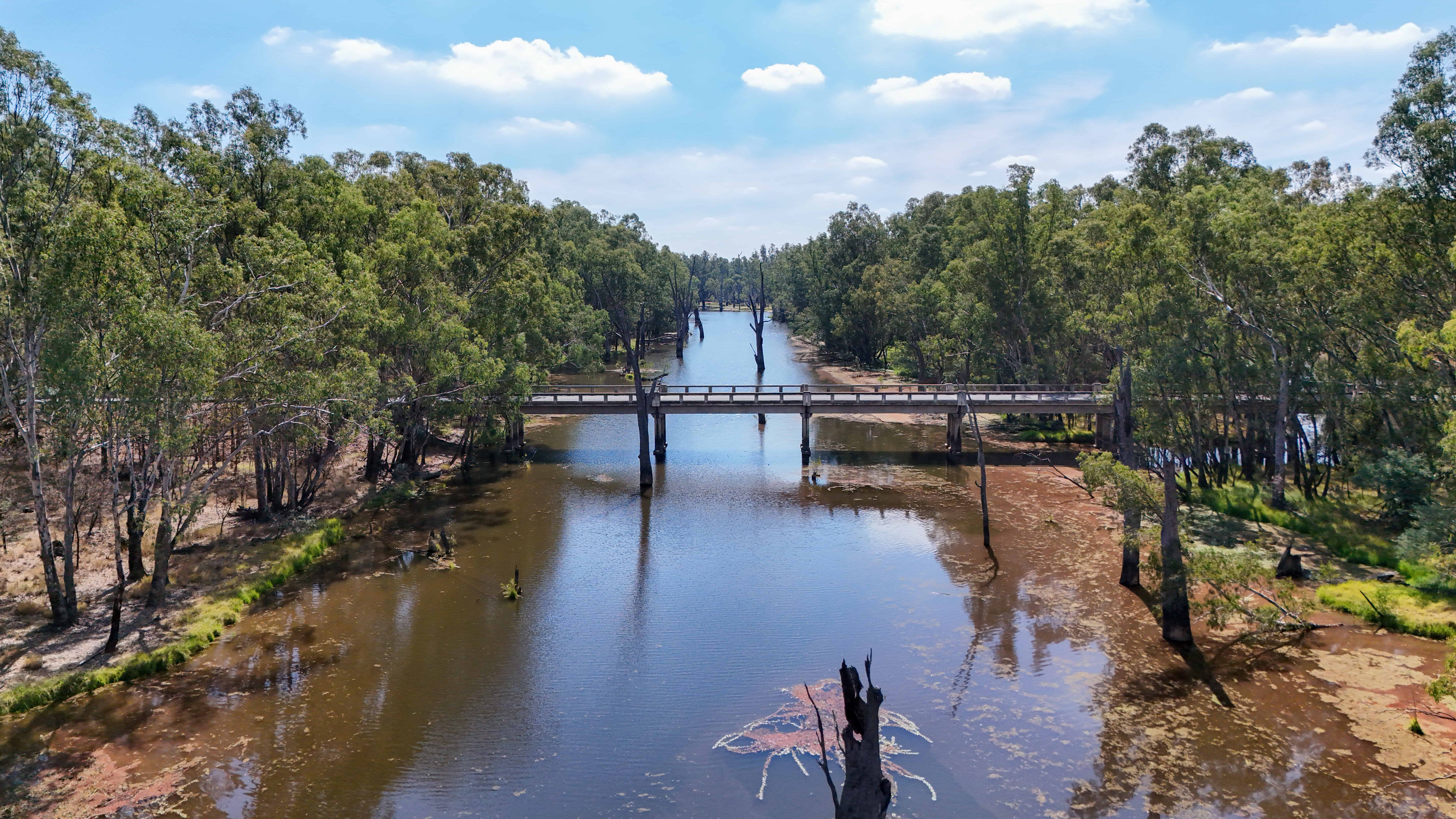 bespoke website design tailored for Murray Plains small businesses