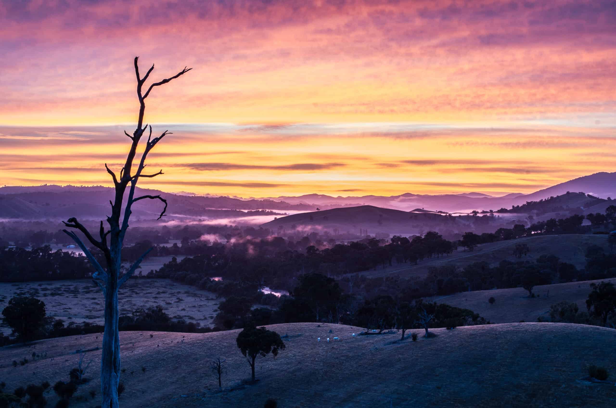 bespoke website design tailored for Cooma small businesses