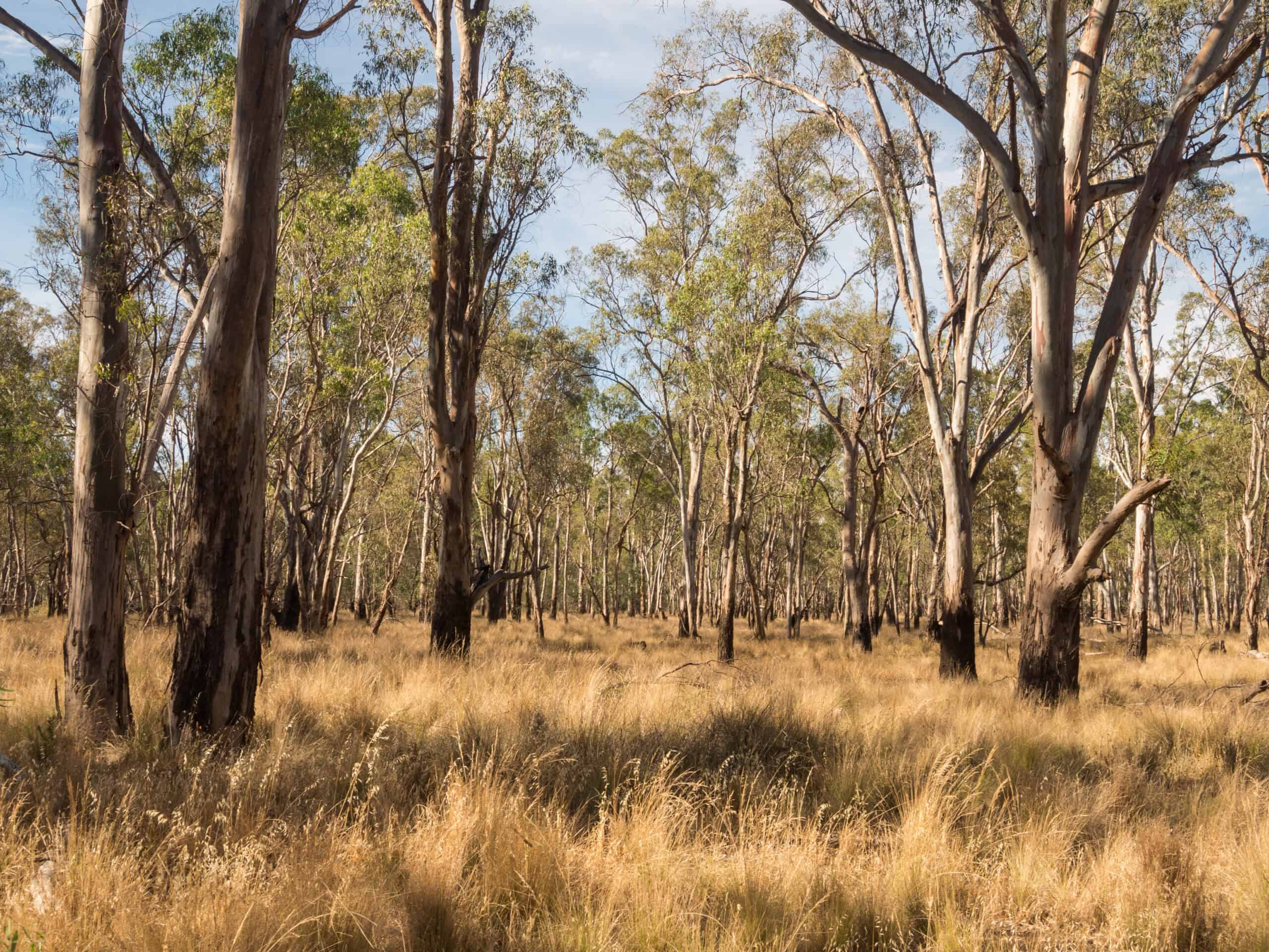 View of Congupna township in the Greater Shepparton region