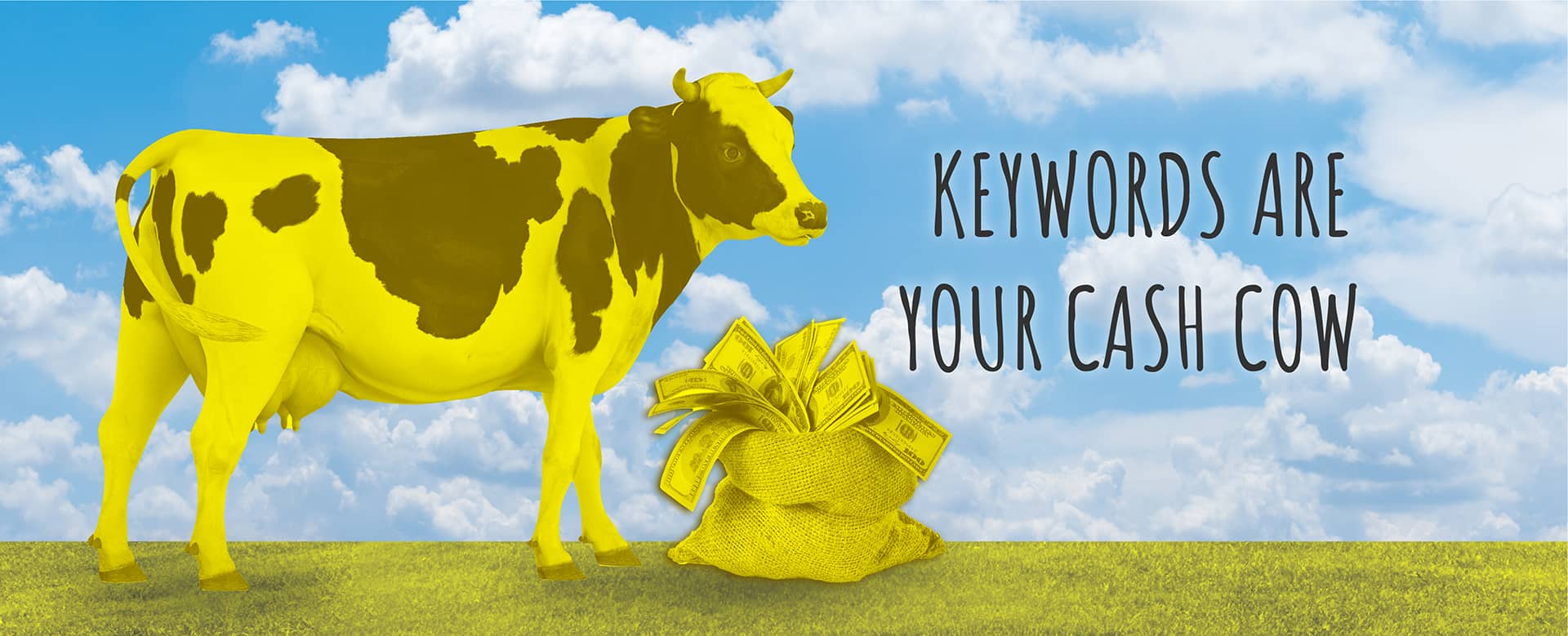 Keywords Are Your Cash Cow