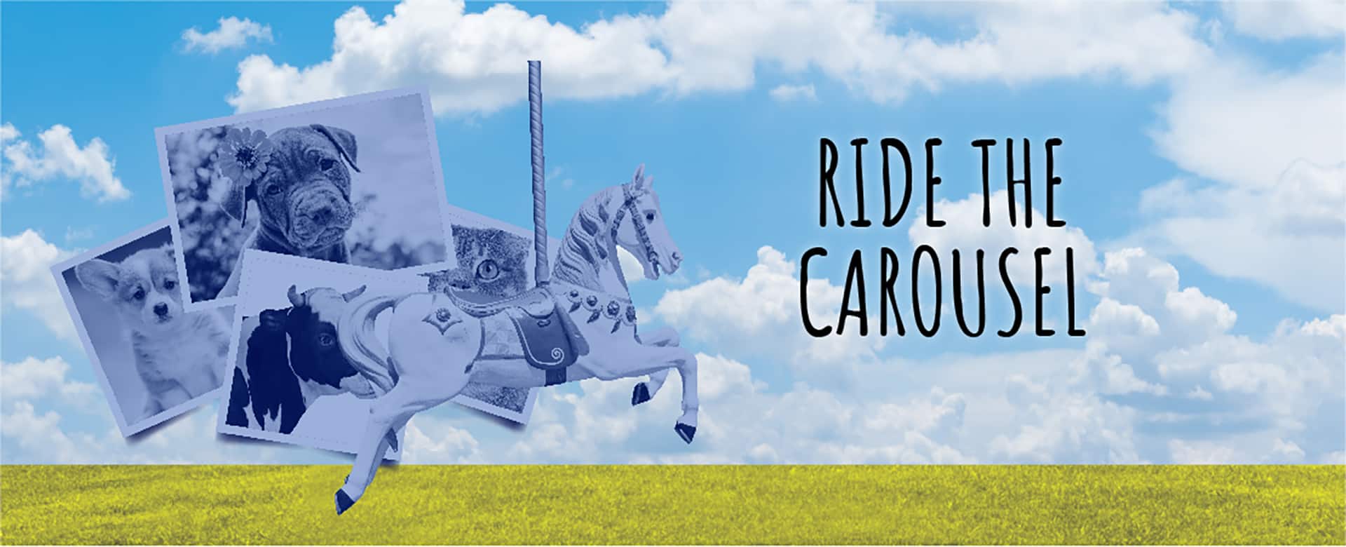 Ride The Carousel