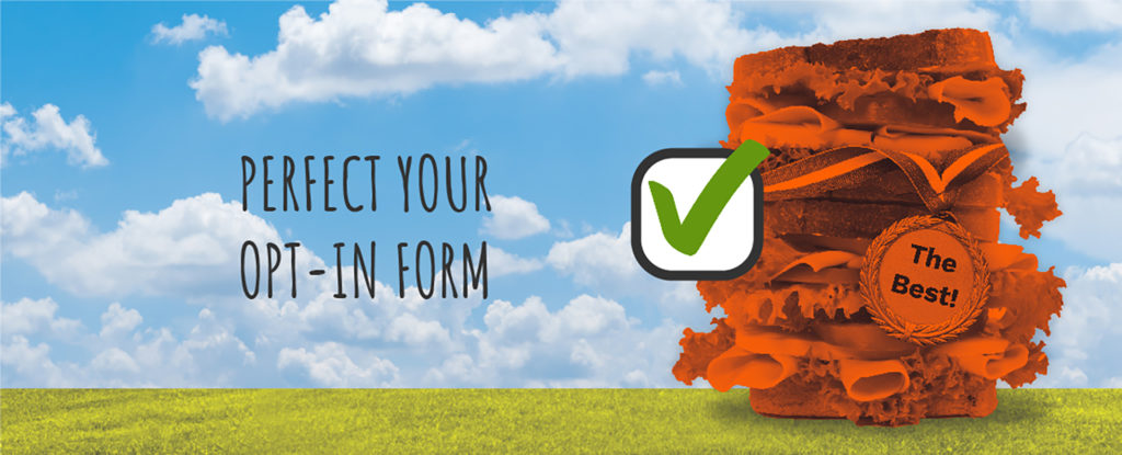 Perfect Your Opt-In Form